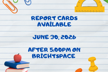 Report Cards
