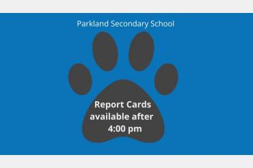 Report Cards available